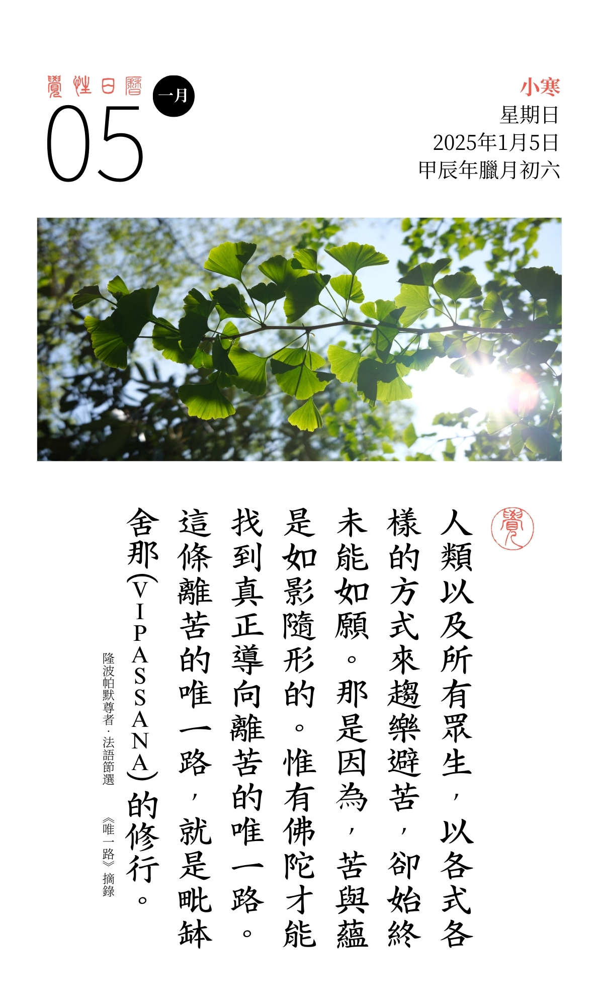 觉性日历2025-5.jpg